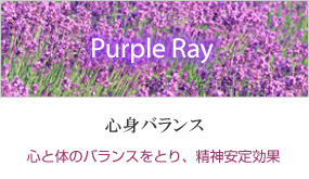 紫の効果